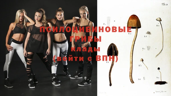 apvp Горняк