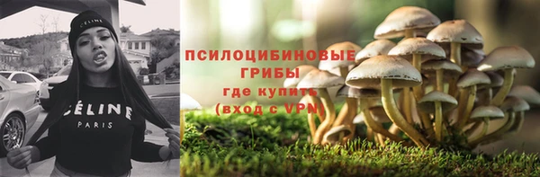 гидра Горнозаводск