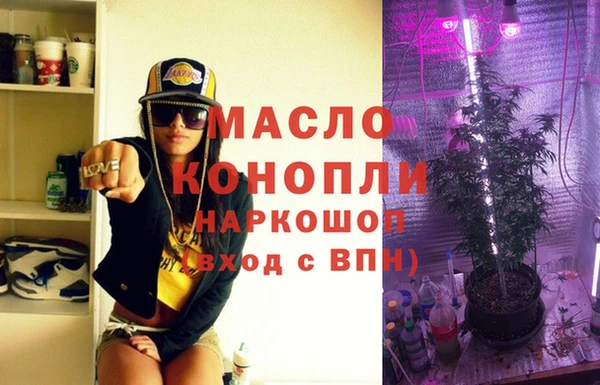 гидра Горнозаводск