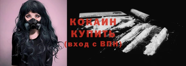 гидра Горнозаводск