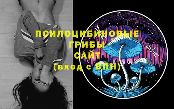 первитин Горно-Алтайск