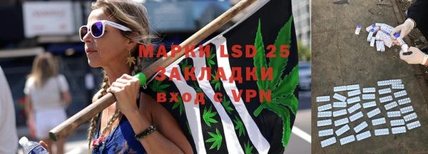 гидра Горнозаводск