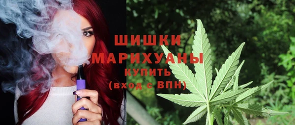 гидра Горнозаводск
