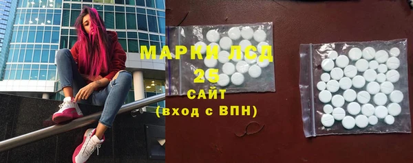 гидра Горнозаводск